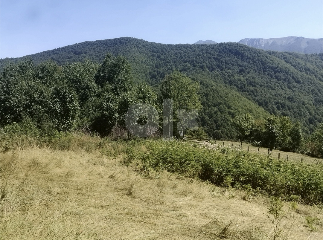 Zemljište Tarčin Korča 5700m2 2
