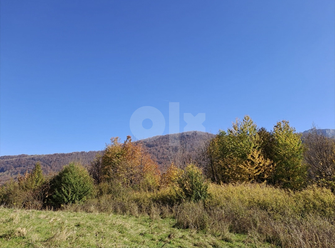 Zemljište Tarčin Korča 5700m2 4