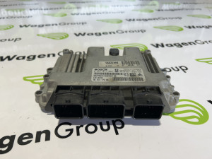 Elektronika motora Peugeot 307 (fotografija 1)