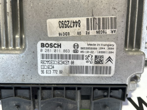 Elektronika motora Peugeot 307 (fotografija 2)
