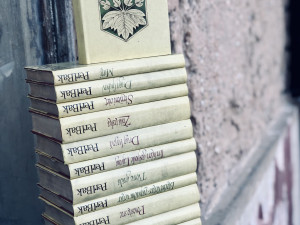 Perl Bak