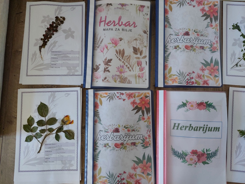 HERBAR - 50 BILJAKA (Herbarijum za Osnovnu Srednju) 061 027 916