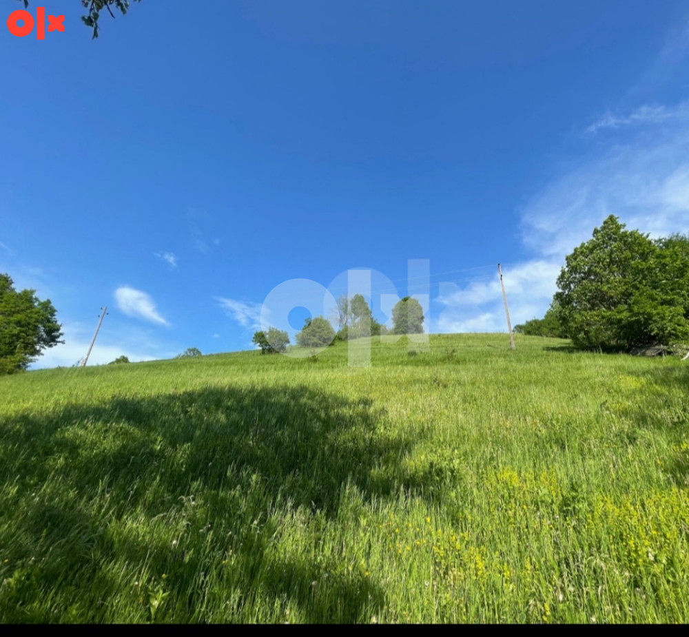 Zemljište Ilijaš Srednje 7953m2 10