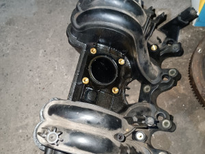 Usisna grana Polo 6n 97g 1.4 55 kw