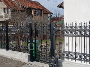 Kovana ograda, kapija