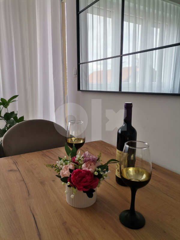 Stan na dan Bijeljina Central LUX 065 582 524 *PARKING* 12