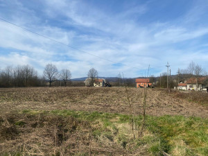 Prodajem kucu i vise njiva u selu Sizje photo 5