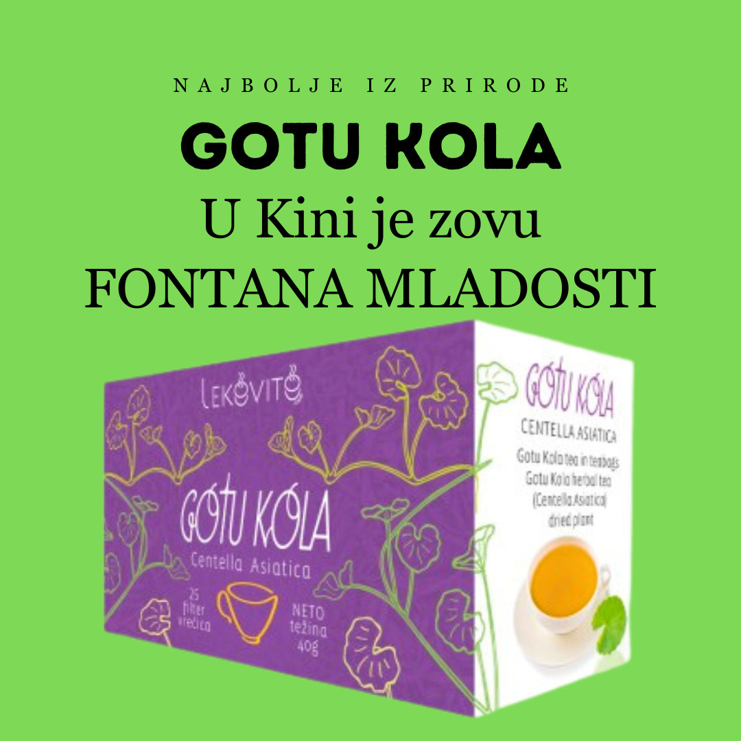 GOTU KOLA čaj