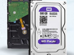 Profesionalno Rešenje za Video Nadzor: WD Purple HDD 500GB