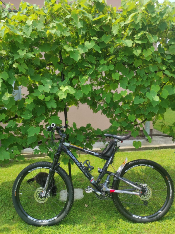 MTB Corratec Mutant AirTech