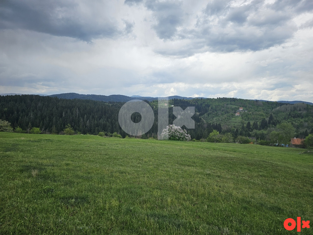 Zemljište cevljanovici 20000 m2 idealno za vikendice 2
