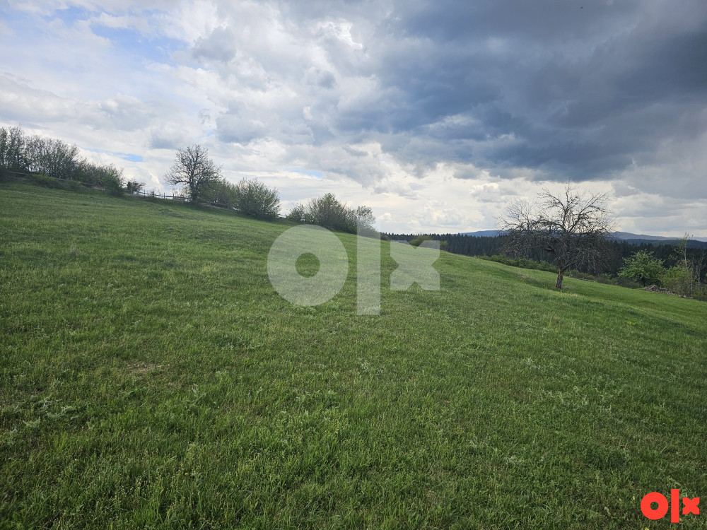 Zemljište cevljanovici 20000 m2 idealno za vikendice 3