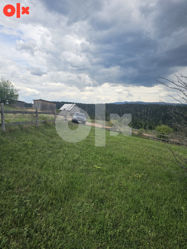 Zemljište cevljanovici 20000 m2 idealno za vikendice 5