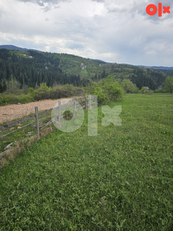 Zemljište cevljanovici 20000 m2 idealno za vikendice 6
