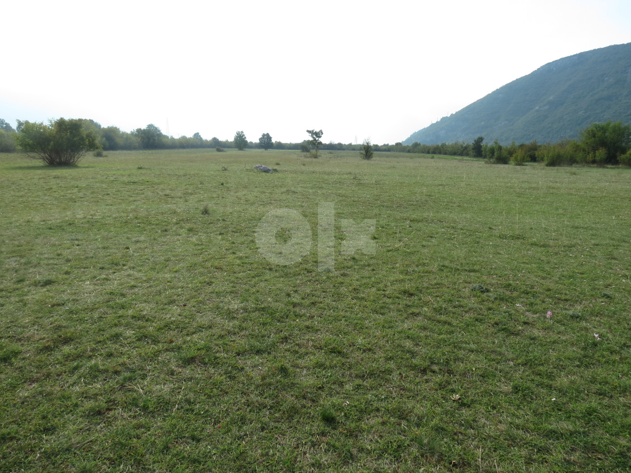 ALMENA/MOSTAR / ŽELJUŠA, POLJOPRIVREDNO ZEMLJIŠTE, 8400m2 3