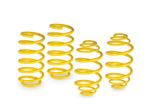 VW Golf 4 Apexi sportske sportski opruge GG