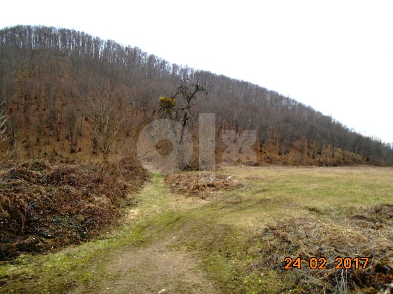 EOS / Zemljište / Sanski Most / 42.129 m2 3