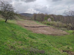 Zemljište od 15 dunuma odlično za parcelisanje 3,5 km od centra
