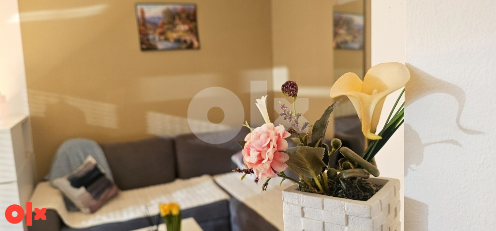 Stan na dan Mostar(City centar)063/326-832 7