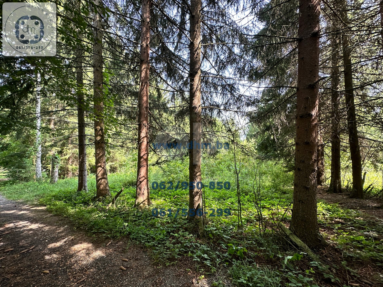 DHM prodaje: zemljište Gornje Vlakovo 1145m2 6