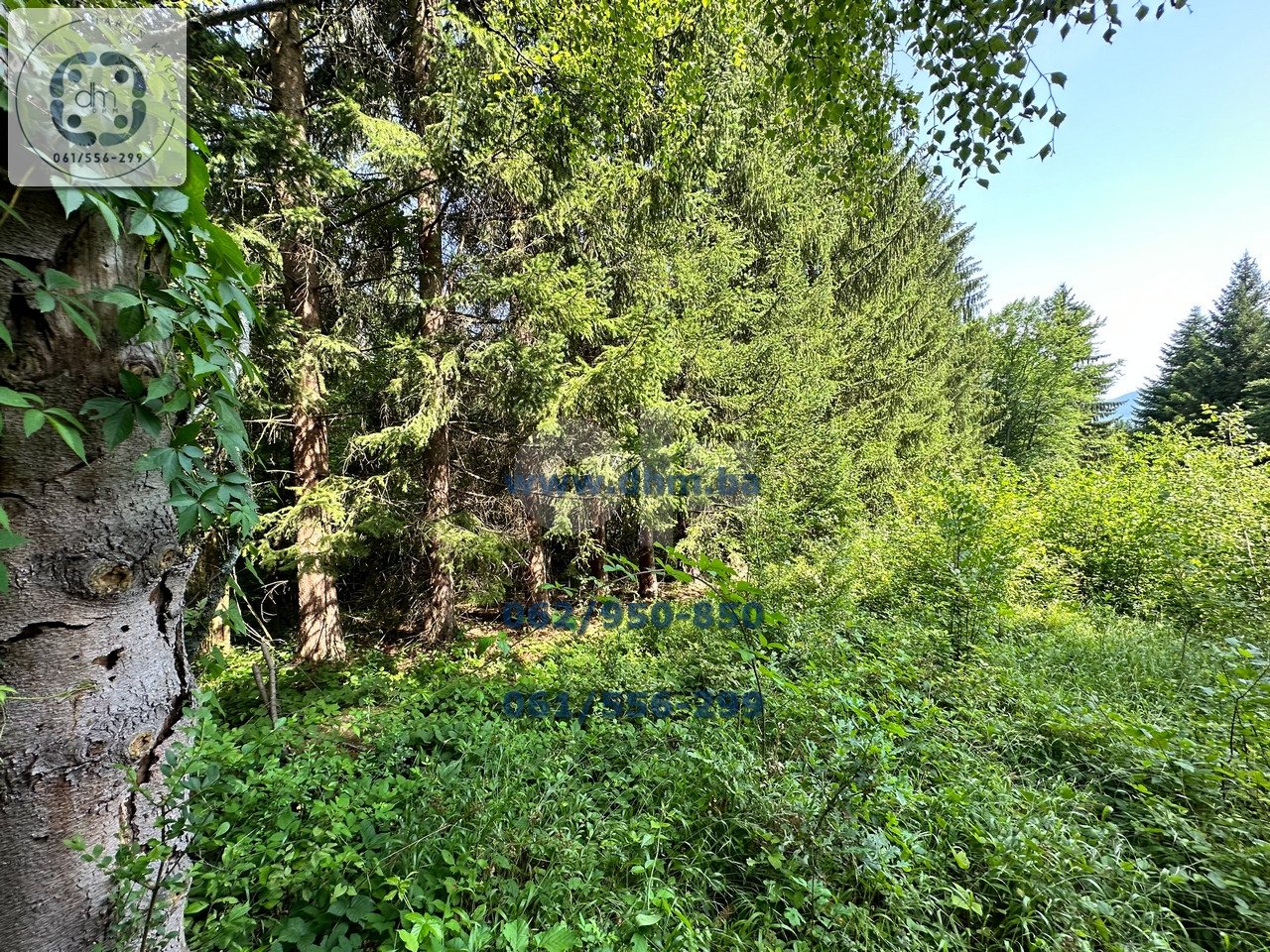 DHM prodaje: zemljište Gornje Vlakovo 1145m2 3