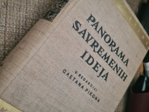 Panorama savremenih idej,  Gaetano Pikon