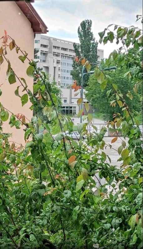 Stan kod Kliničkog centra, Medicinskog fakulteta,Stomatološkog 3