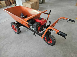 MOTORNA KOLICA STRAUS AUSTRIA