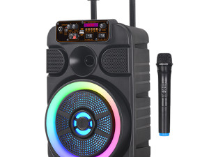 Džubox radio Gigatech BSK-510 8"/micro/BT/1-mikrofon
