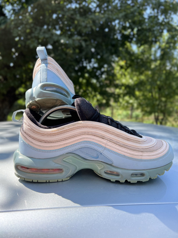 tn x 97 hybrid