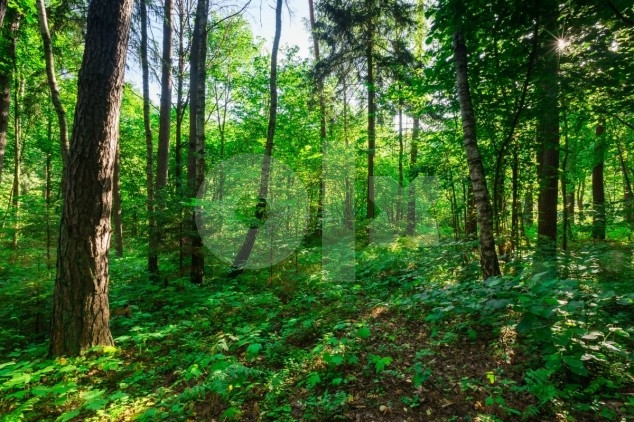 Zemljište Tuzla ( citaj detaljno)