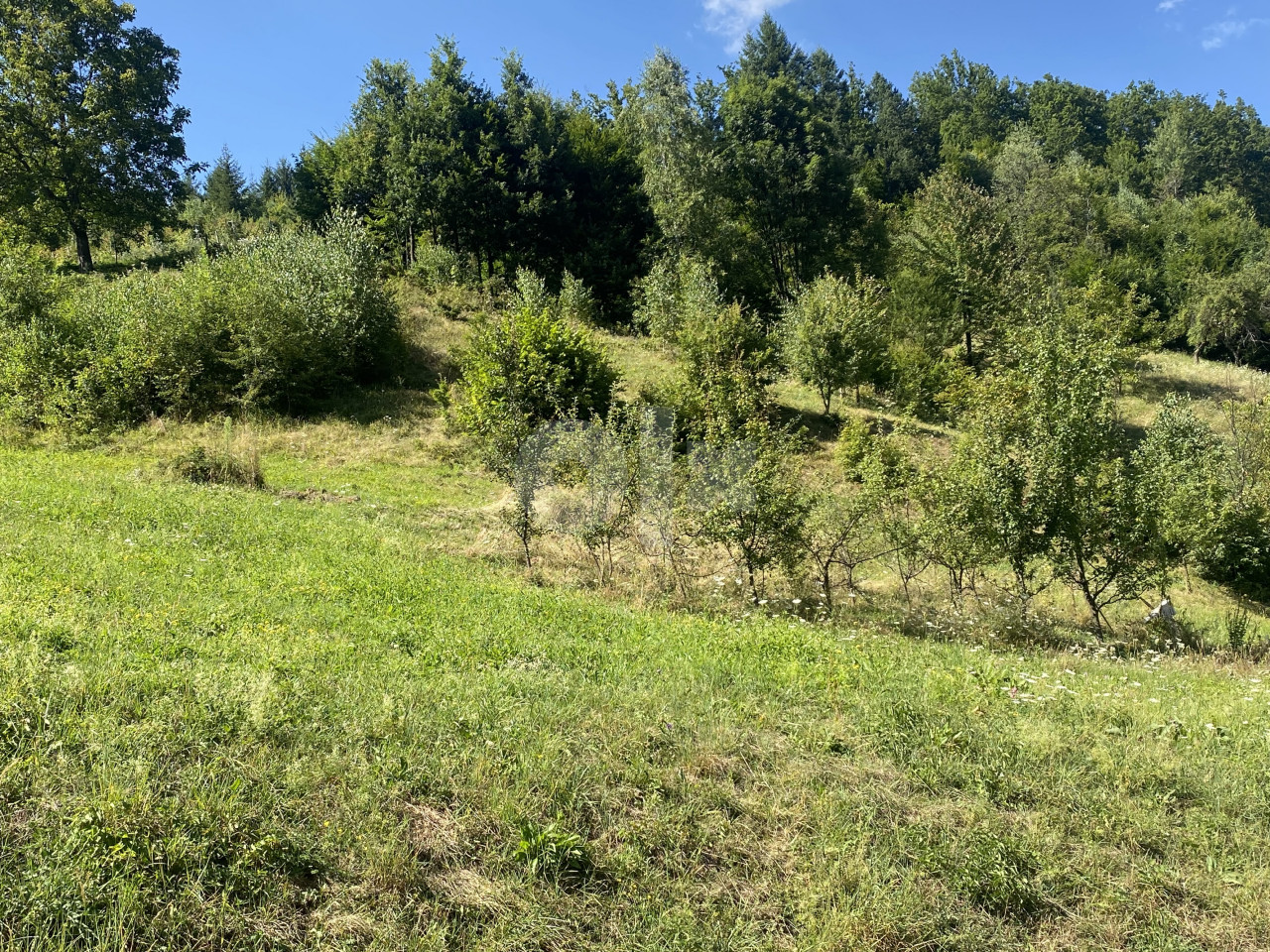 Zemljište Fojnica 4
