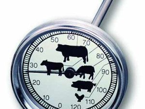 Termometar za pečenje TFA