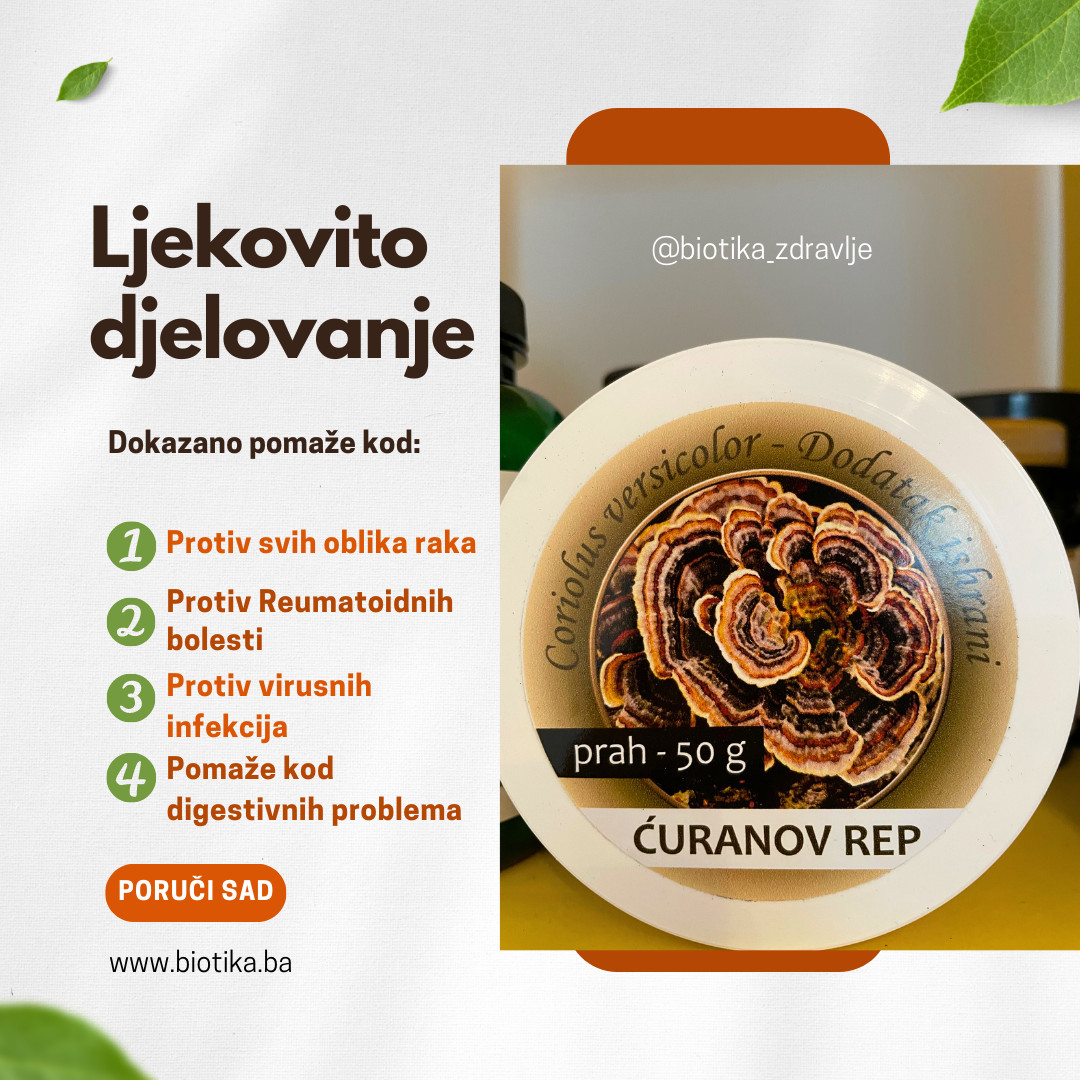 Ćuranov rep gljiva