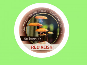RED REISHI kapsule