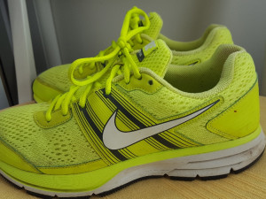 Patike NIKE Air Pegasus 29