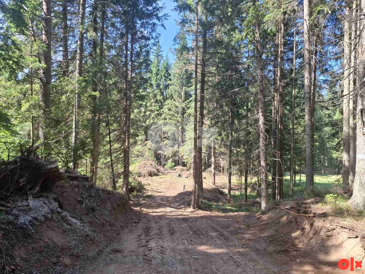 Zemljište Nišići / 2165 m2 3
