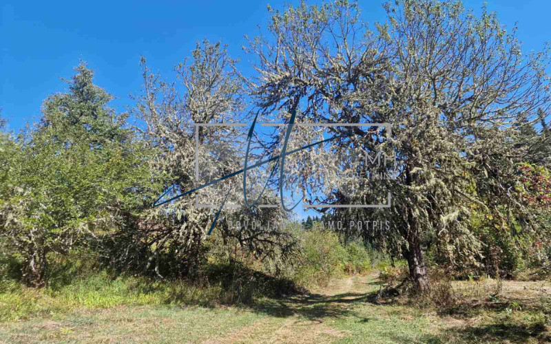 Zemljište Ajdinovići-KS 83643m2 2