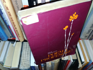 POEMA PROFESORU ZIKA MARKOVIC (ogp)