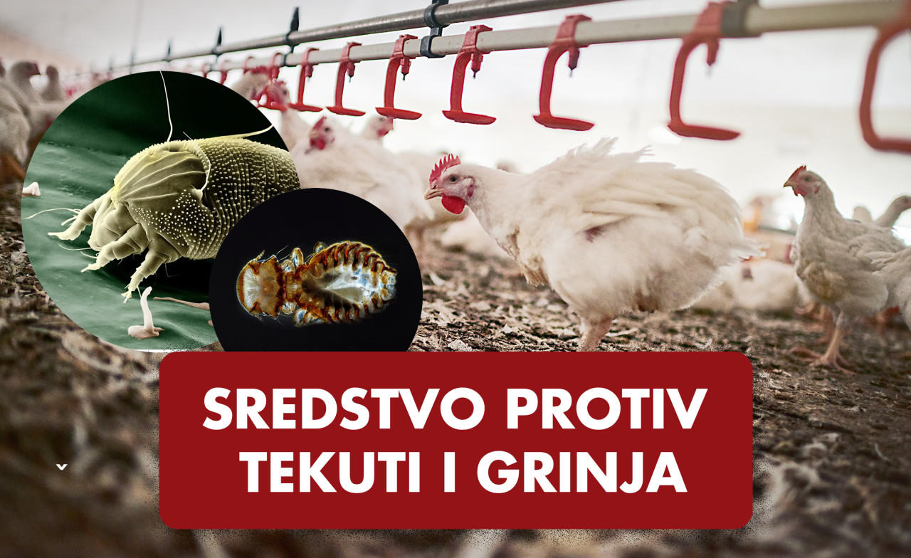 Sredstvo protiv tekuti i grinja u prahu - za Peradarstvo