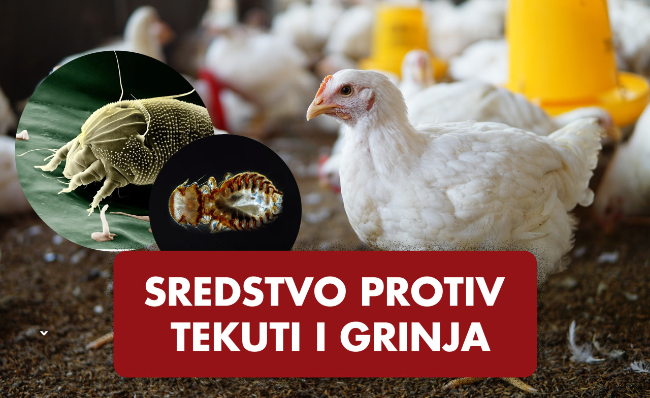 Sredstvo protiv tekuti i grinja u prahu - za Peradarstvo