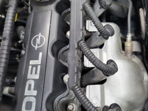 Motor opel 1.6 8v 62kw Z16SE