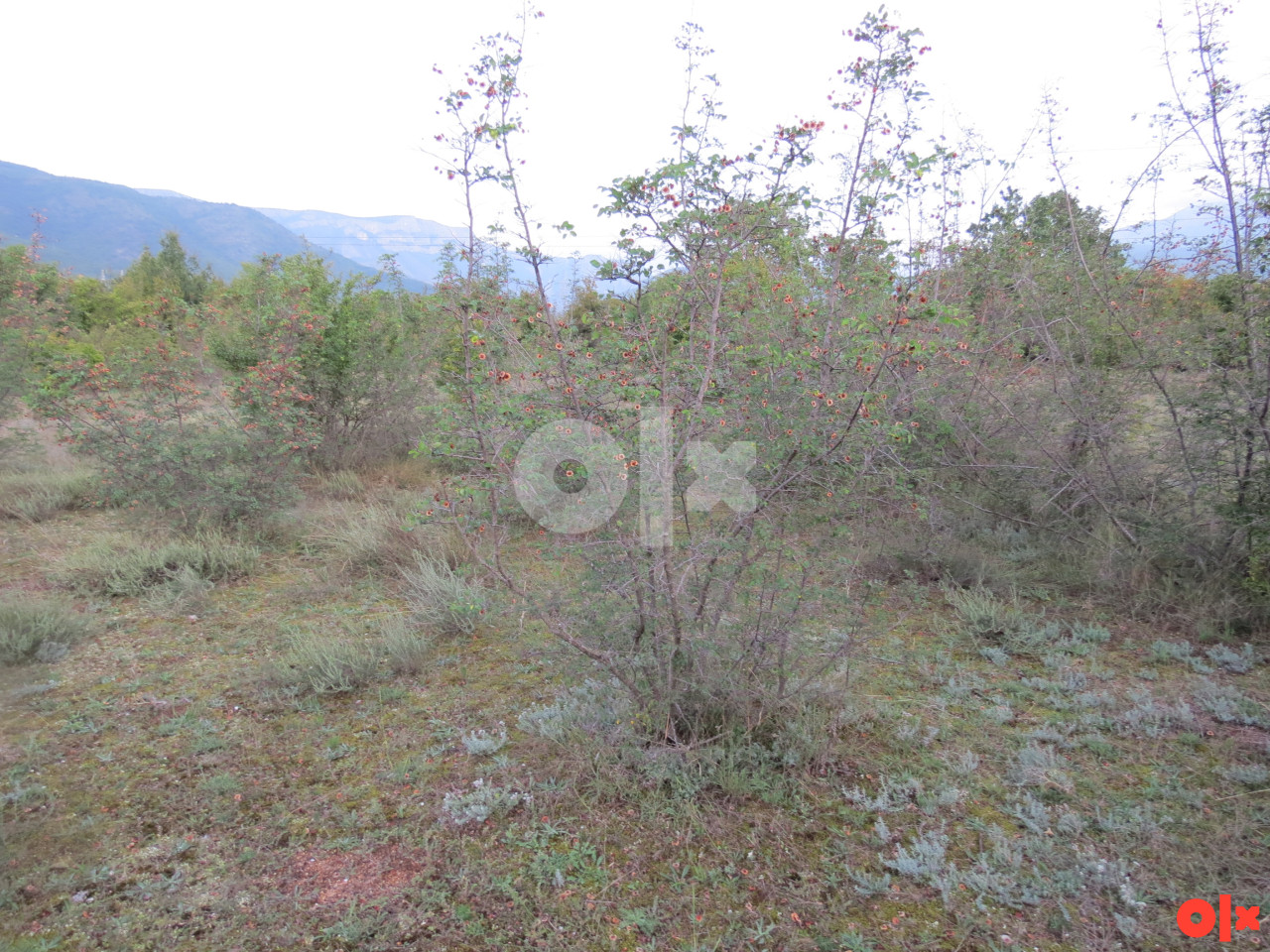 ALMENA/ Mostar /Potoci,plac 1500 m2 10