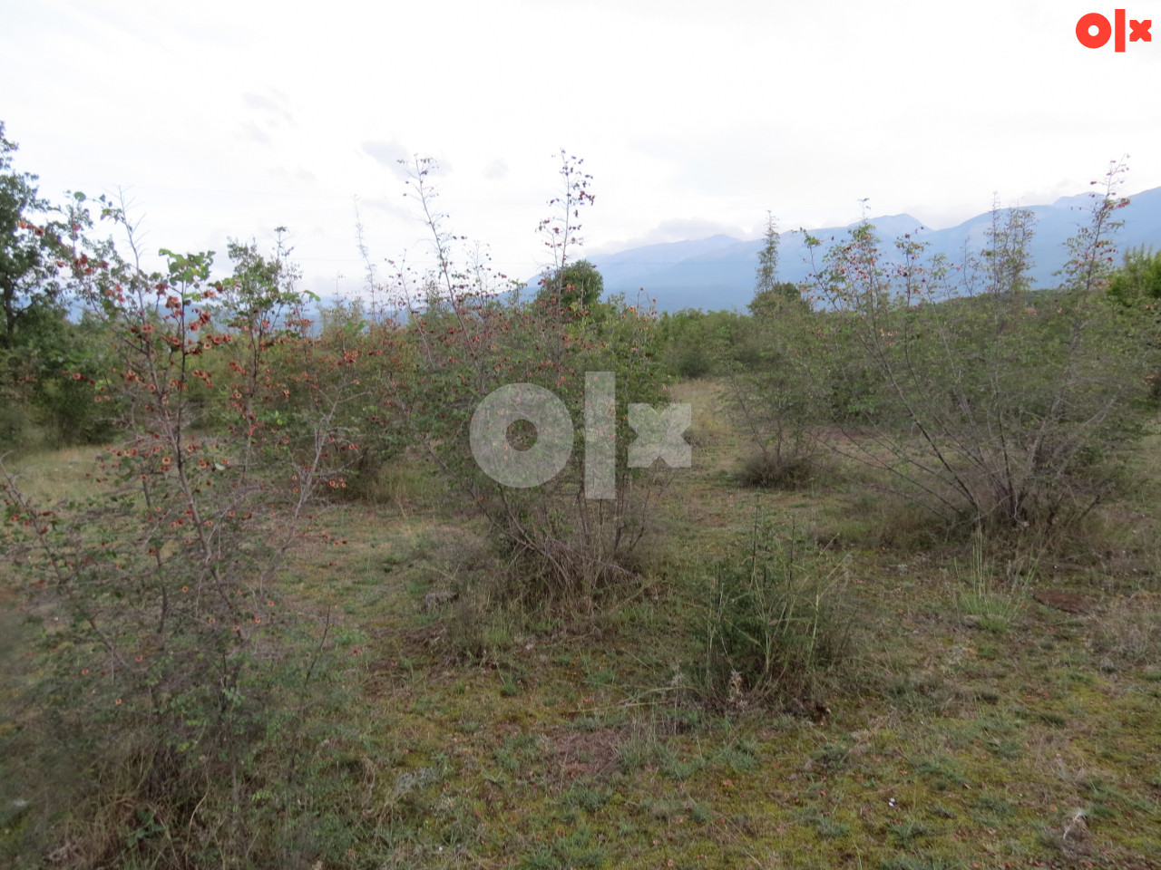 ALMENA/ Mostar /Potoci,plac 1500 m2 15