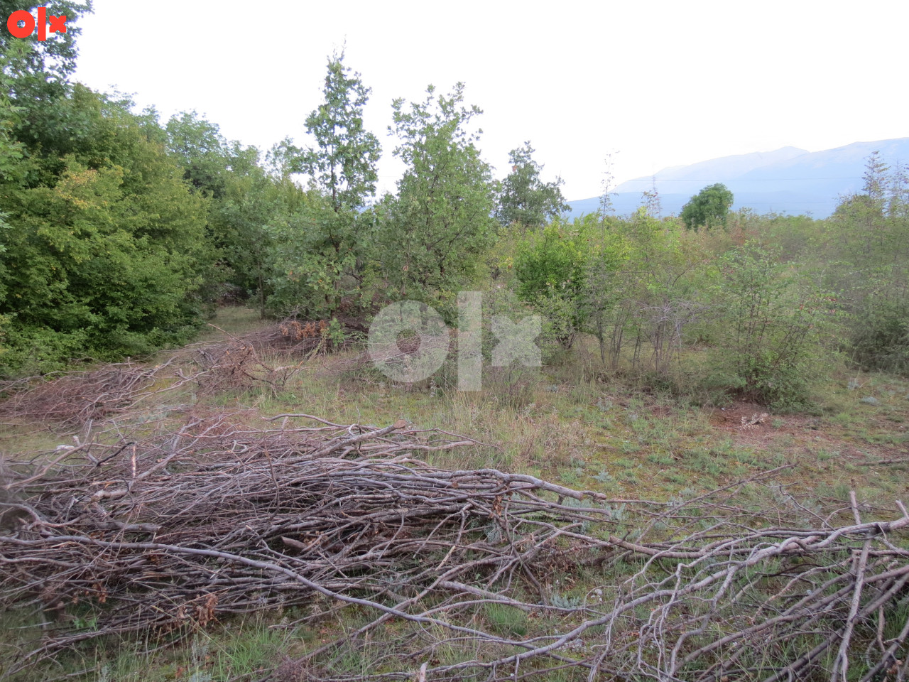 ALMENA/ Mostar /Potoci,plac 1500 m2 16