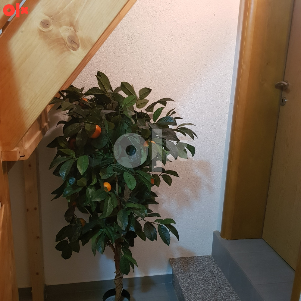 Apartman Markoni  na Vlasicu ( Galica ). 2