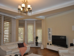 Luxury villa Ilidža 520m2 photo 4