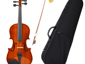 VIOLINA TAYSTE R80 SOLID TOP 1/4, 1/2, 3/4 ,4/4