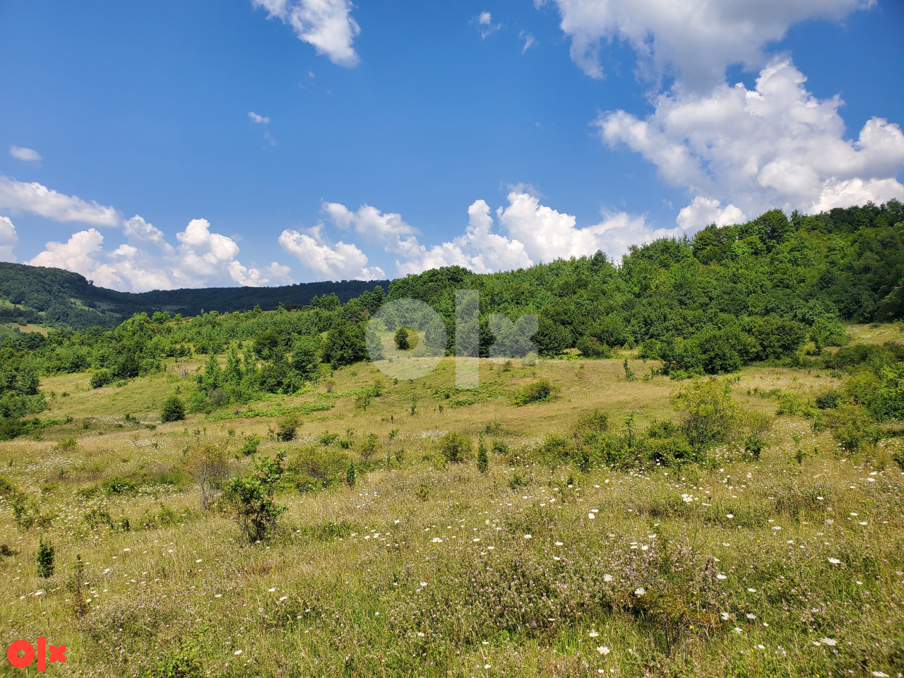 Zemljište Kakanj 15500m2 3