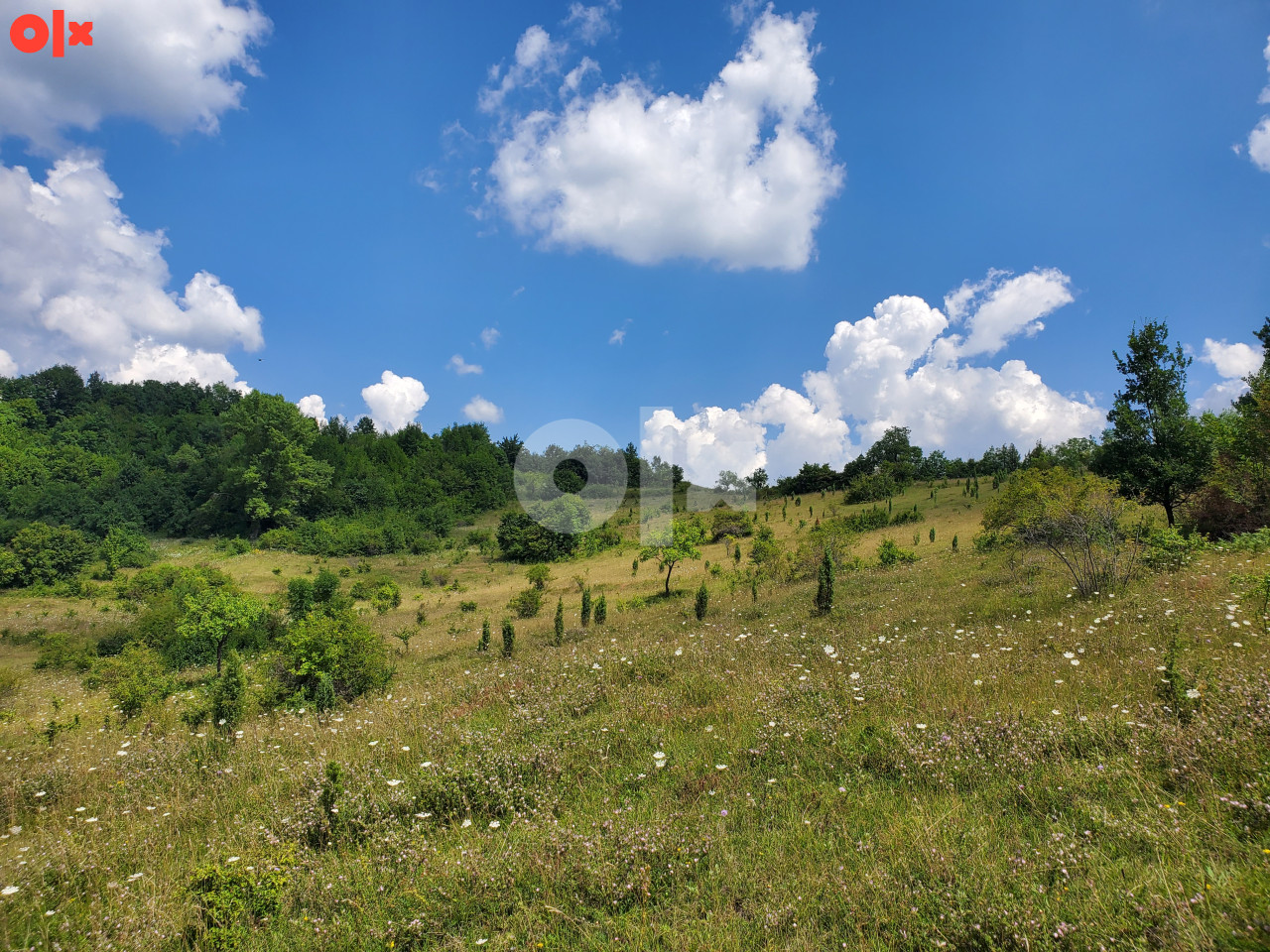 Zemljište Kakanj 15500m2 4